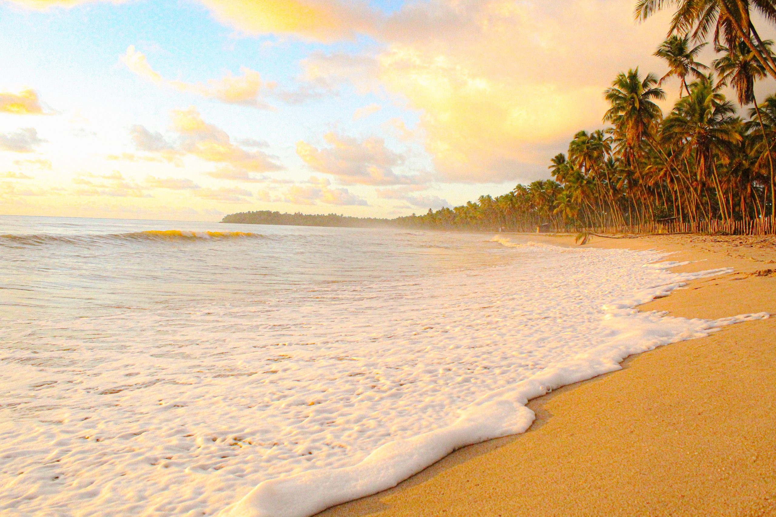 20220701061542_IMG_2944 (2)